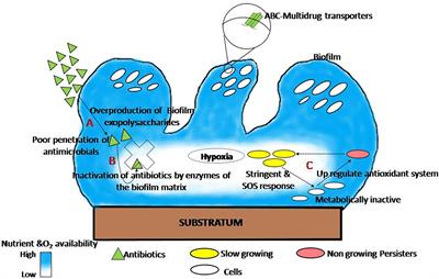 biofilm agents frontiersin pathogens strategies